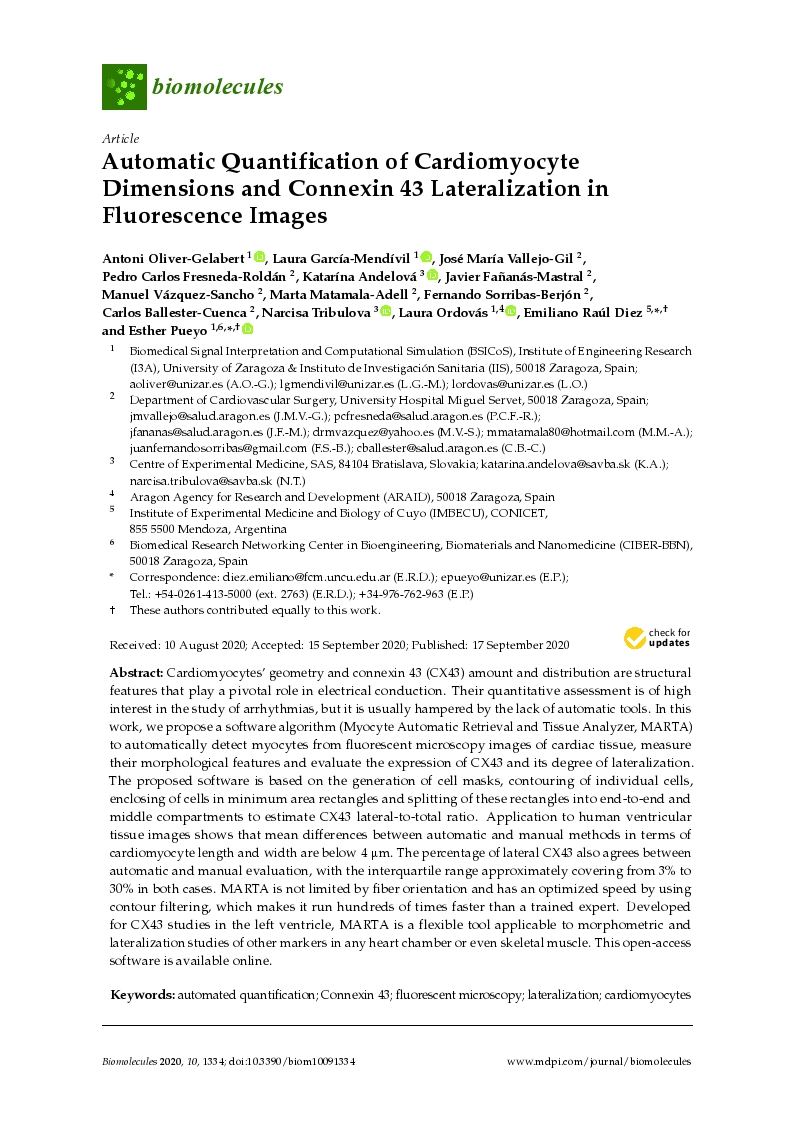 Automatic quantification of cardiomyocyte dimensions and connexin 43 lateralization in fluorescence images