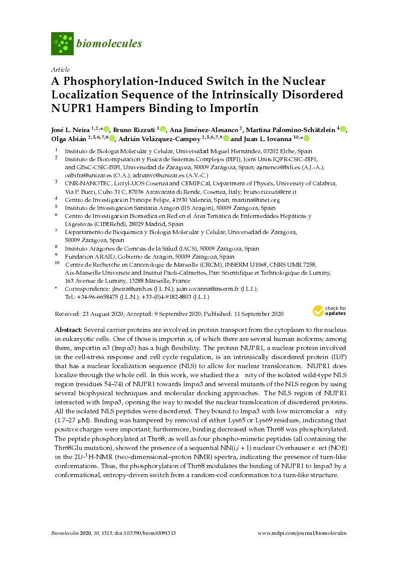 A phosphorylation-induced switch in the nuclear localization sequence of the intrinsically disordered nupr1 hampers binding to importin