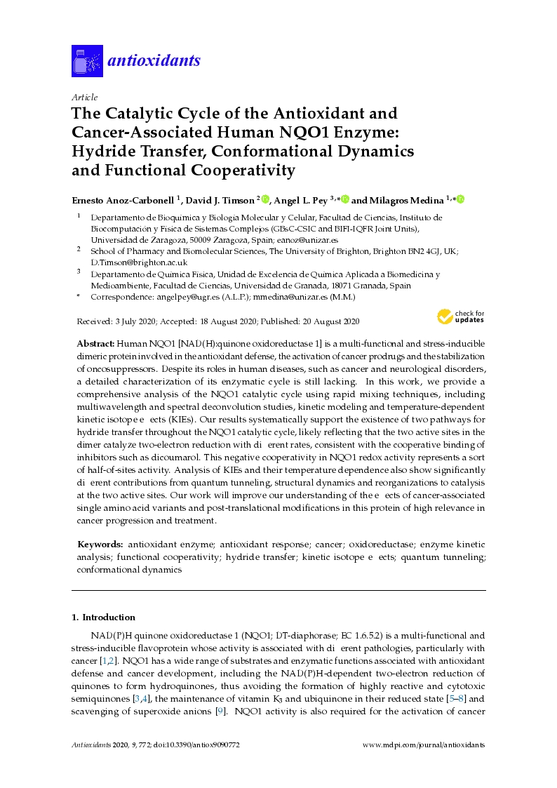 The catalytic cycle of the antioxidant and cancer-associated human NQO1 enzyme: Hydride transfer, conformational dynamics and functional cooperativity