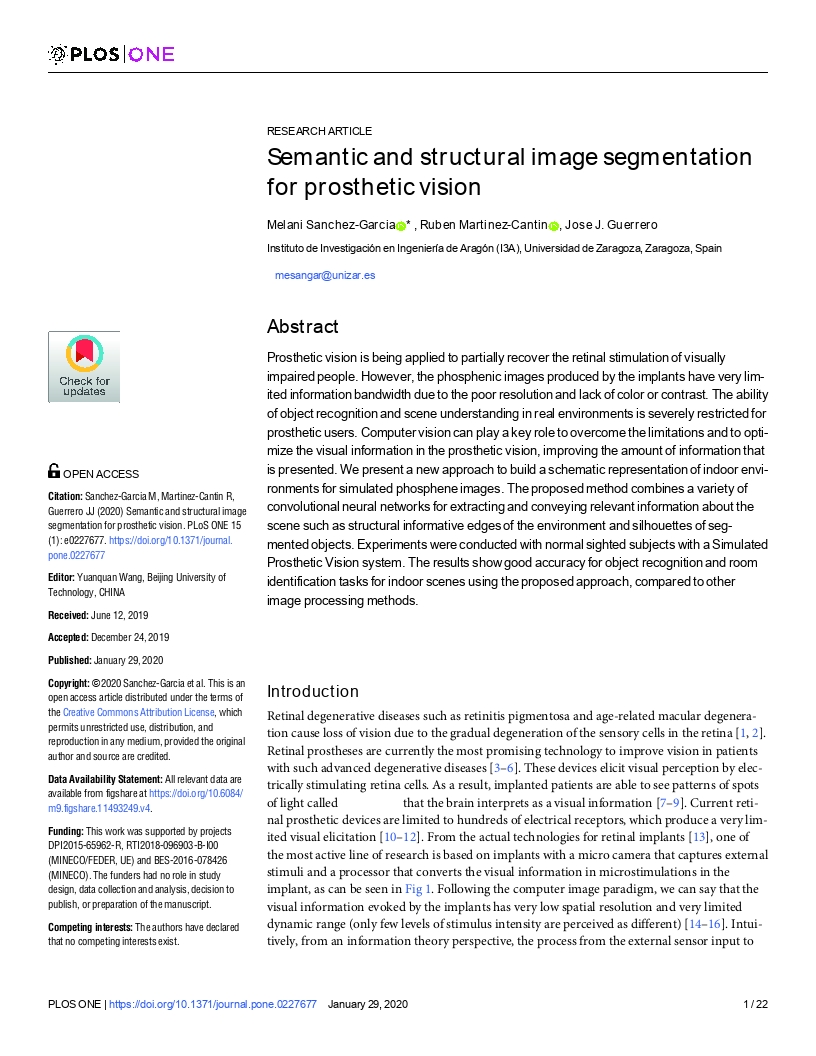 Semantic and structural image segmentation for prosthetic vision
