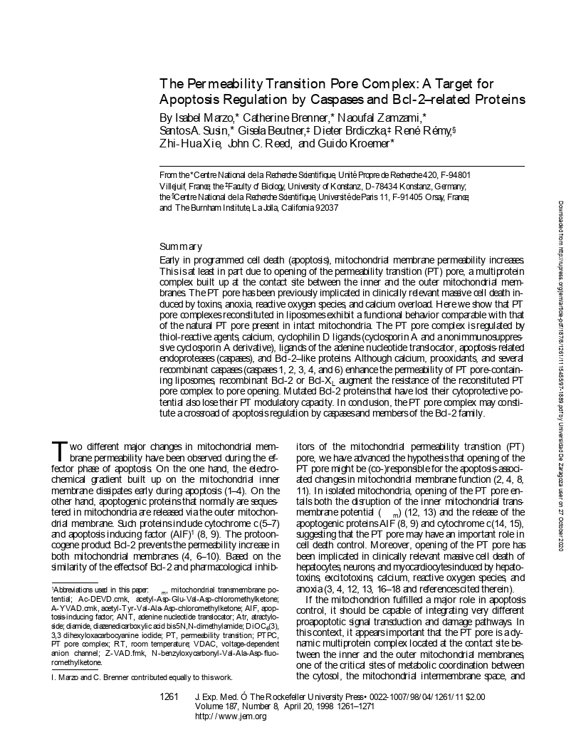 The Permeability Transition Pore Complex: A Target for Apoptosis Regulation by Caspases and Bcl-2-related Proteins