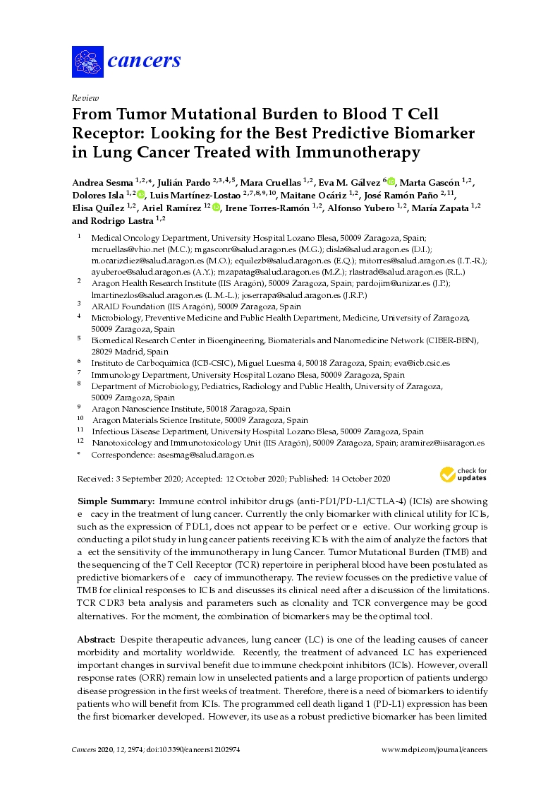 From tumor mutational burden to blood T cell receptor: Looking for the best predictive biomarker in lung cancer treated with immunotherapy