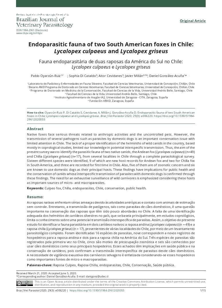 Endoparasitic fauna of two south american foxes in Chile: Lycalopex culpaeus and lycalopex griseus