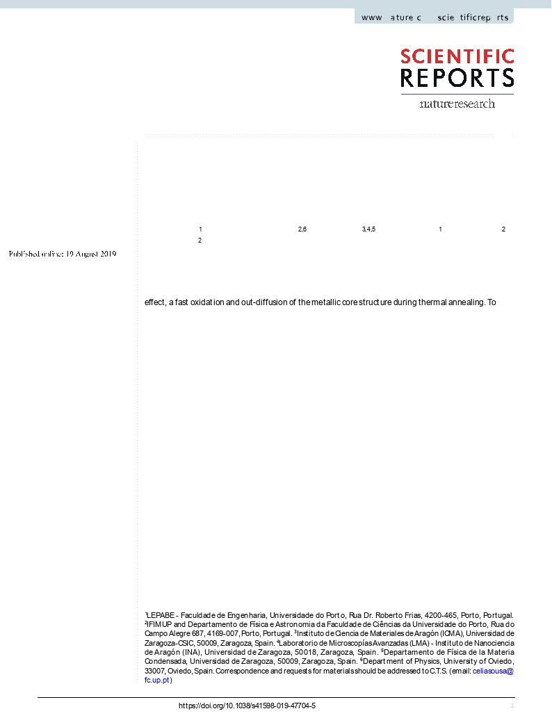 Double-walled iron oxide nanotubes via selective chemical etching and Kirkendall process