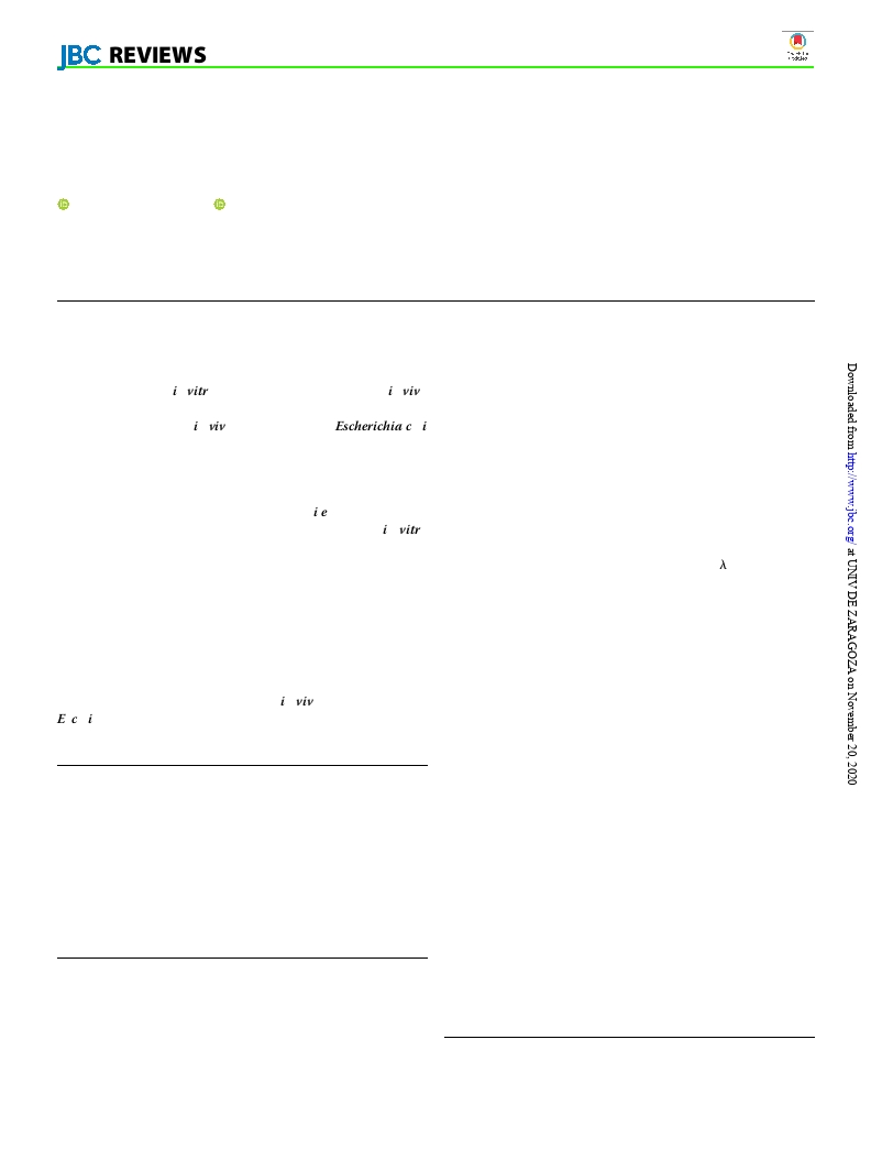 In vivo DNA assembly using common laboratory bacteria: A re-emerging tool to simplify molecular cloning