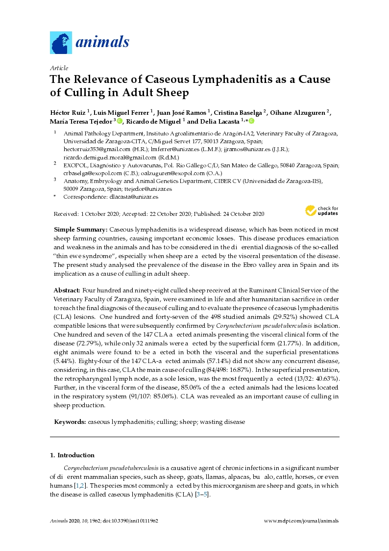 The relevance of caseous lymphadenitis as a cause of culling in adult sheep