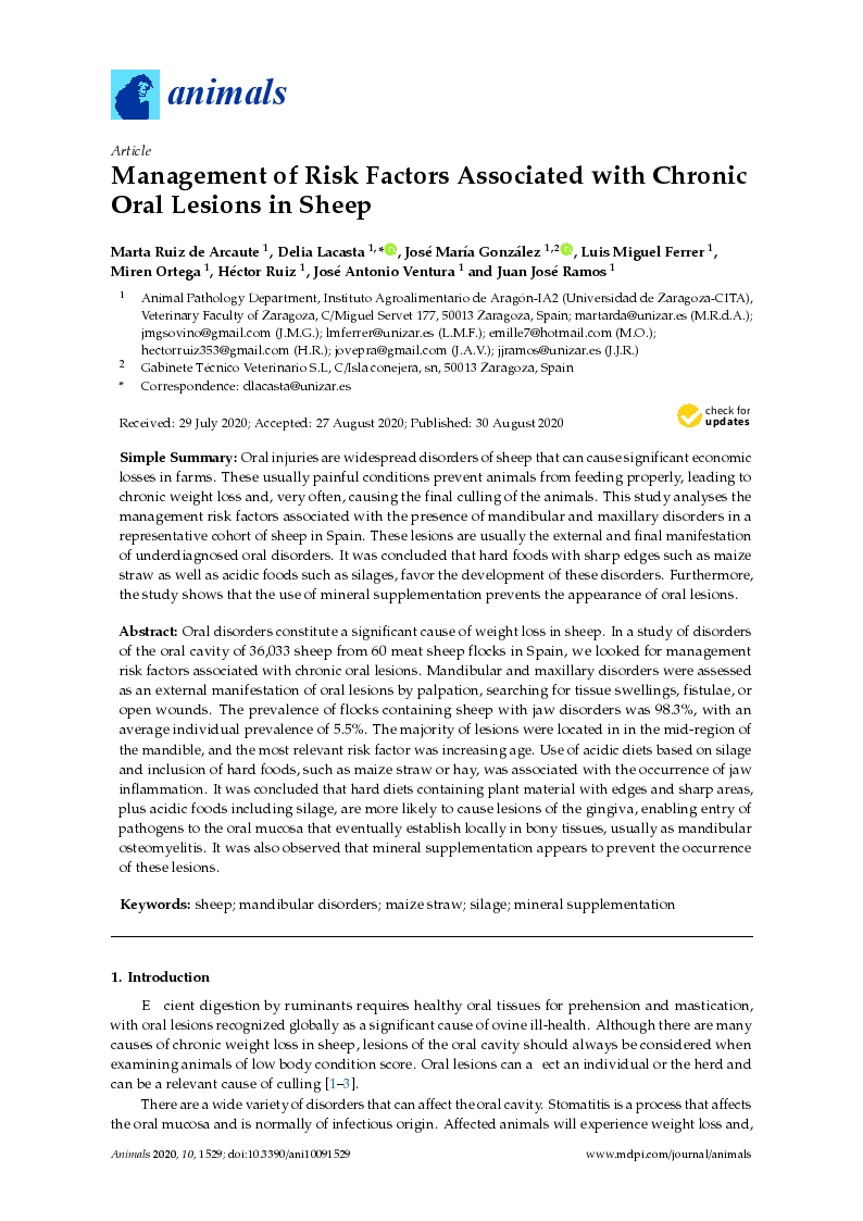 Management of risk factors associated with chronic oral lesions in sheep