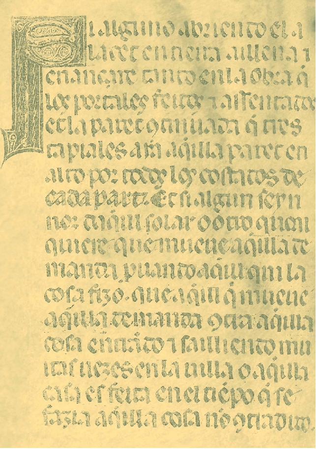 Documentos relativos al contrato entre el pintor Bernat de Aras y el concejo de Pompién para realizar un retablo en 1461: edición y comentarios lingüísticos