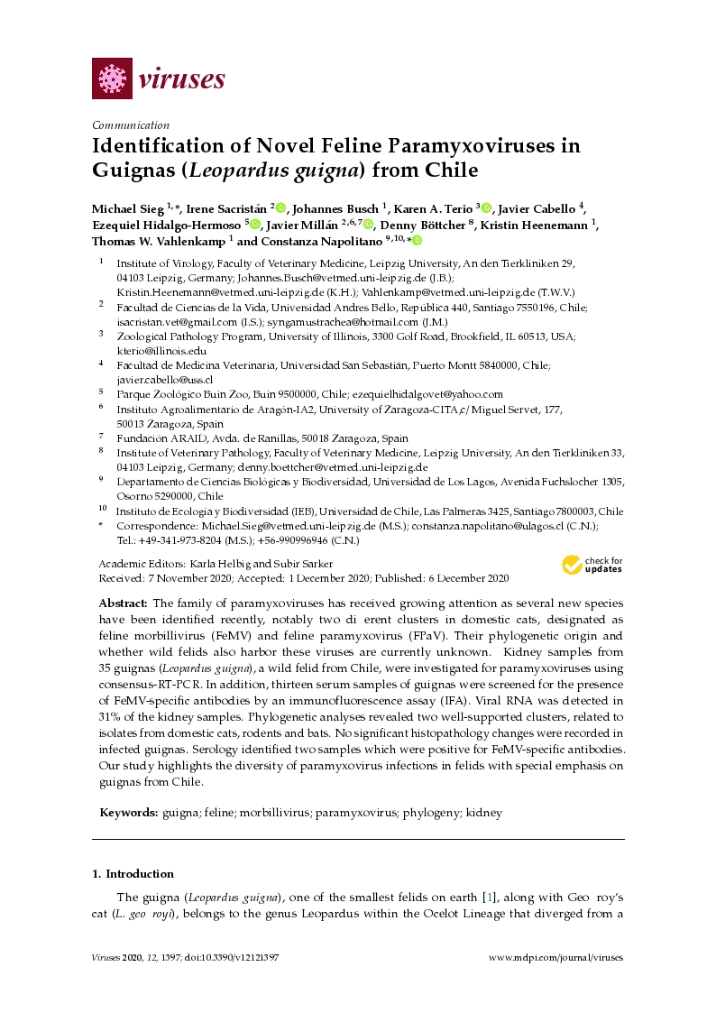 Identification of Novel Feline Paramyxoviruses in Guignas (Leopardus guigna) from Chile