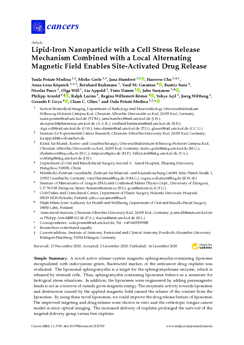 Lipid-iron nanoparticle with a cell stress release mechanism combined with a local alternating magnetic field enables site-activated drug release