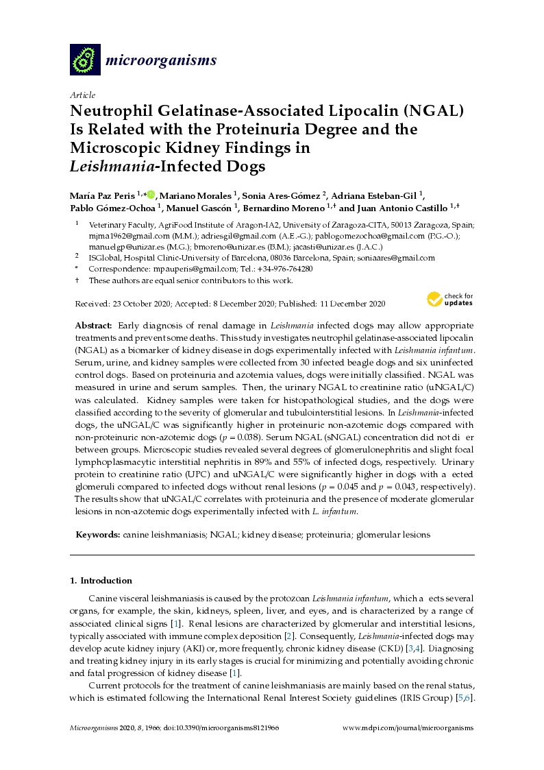 Neutrophil gelatinase-associated lipocalin (NGAL) is related with the proteinuria degree and the microscopic kidney findings in leishmania-infected dogs