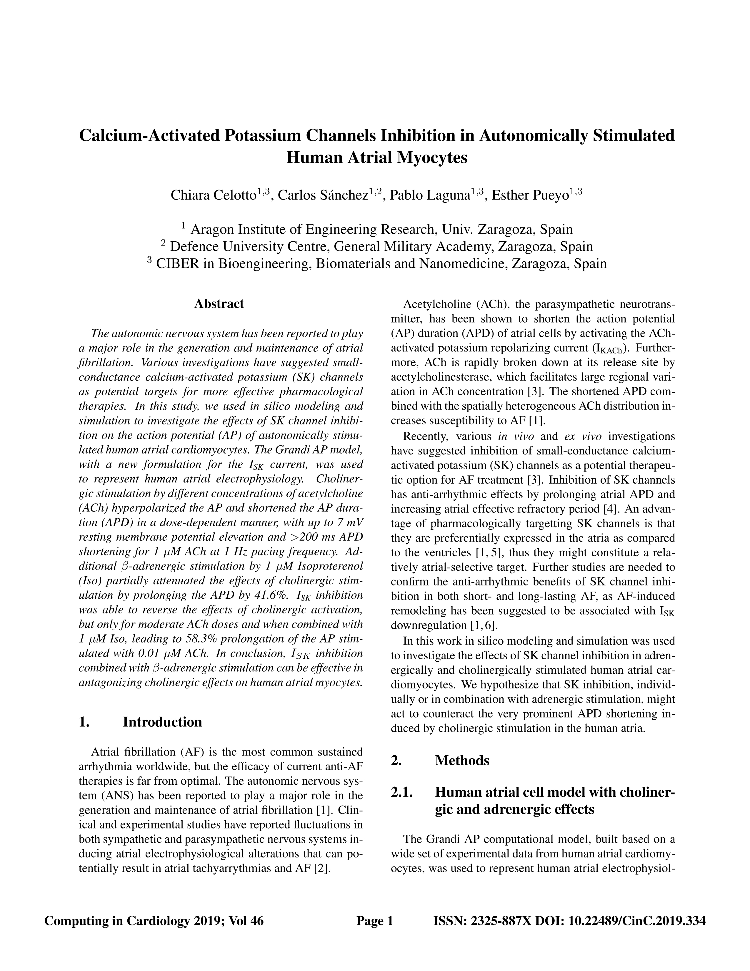 Calcium-Activated Potassium Channels Inhibition in Autonomically Stimulated Human Atrial Myocytes