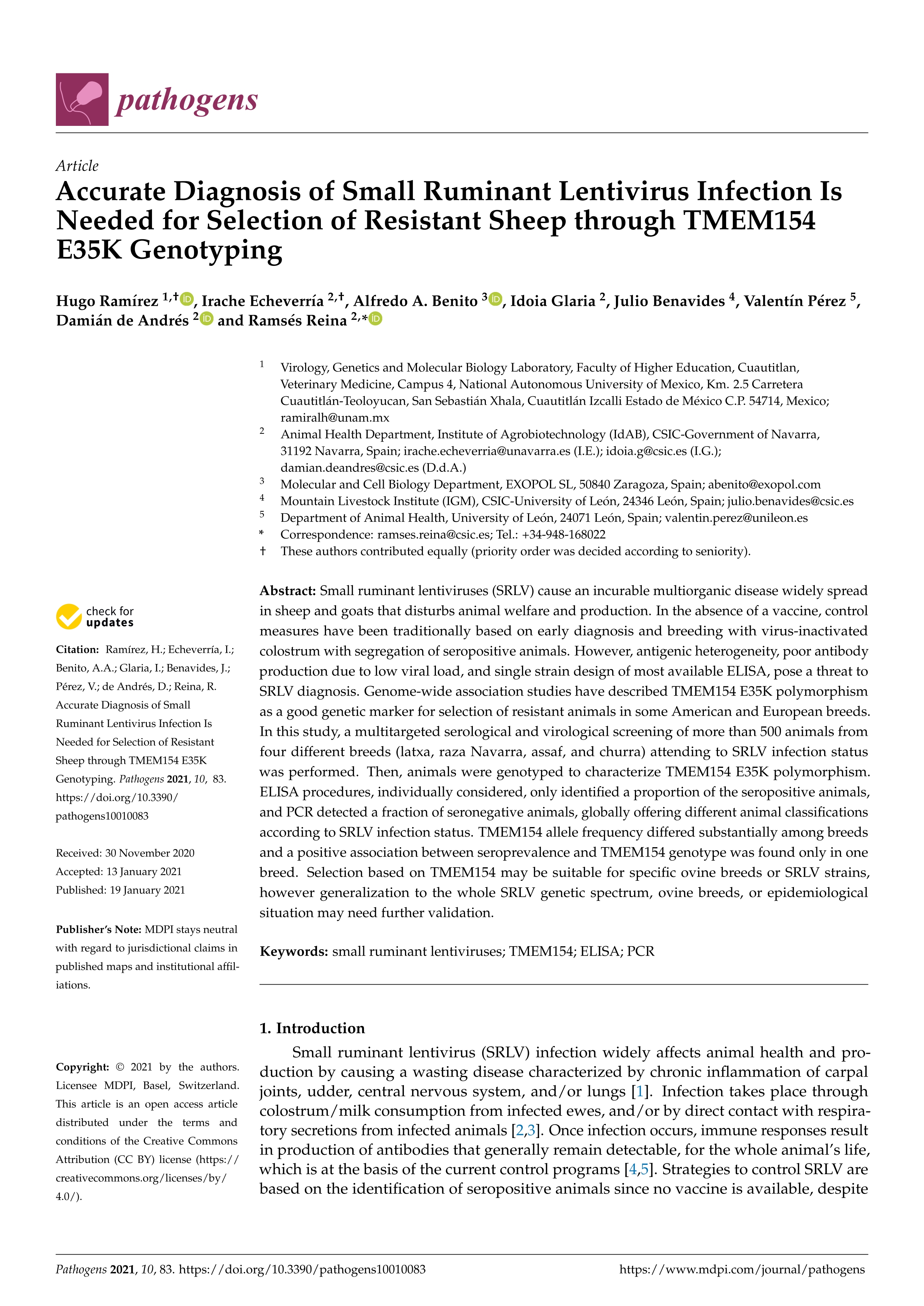 Accurate diagnosis of small ruminant lentivirus infection is needed for selection of resistant sheep through tmem154 e35k genotyping