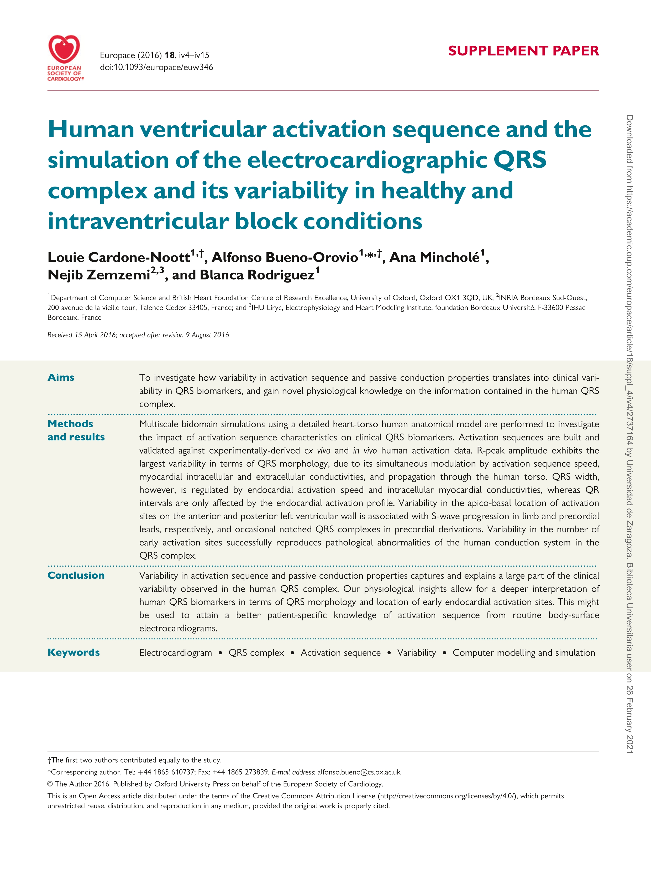 Human ventricular activation sequence and the simulation of the electrocardiographic QRS complex and its variability in healthy and intraventricular block conditions