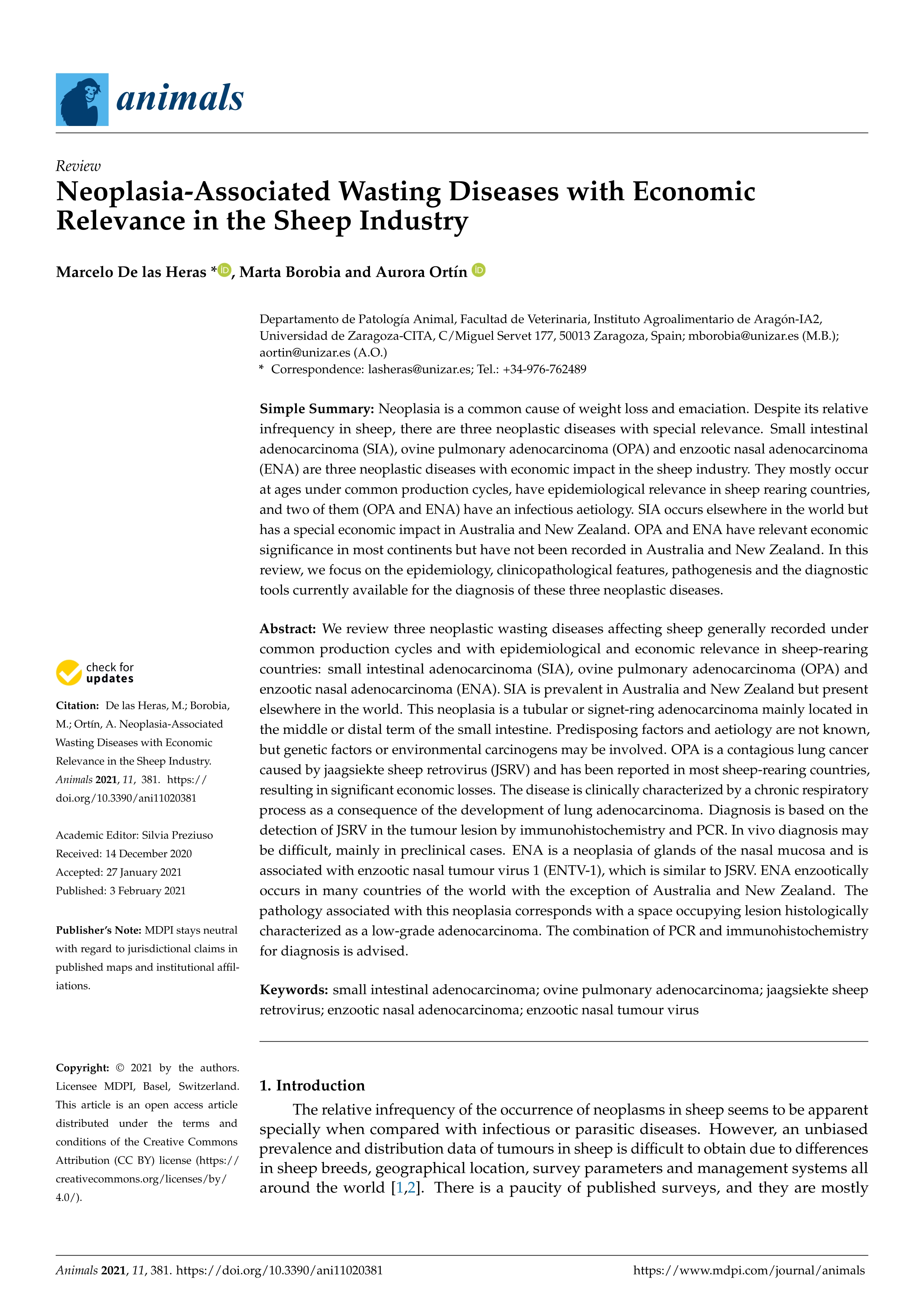 Neoplasia-associated wasting diseases with economic relevance in the sheep industry